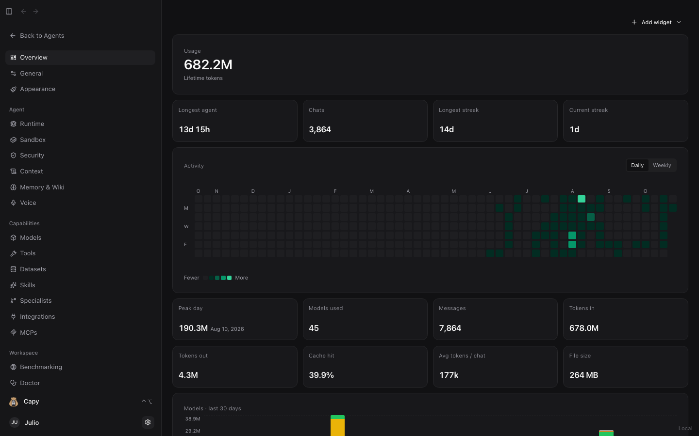 Dashboard Overview: lifetime tokens, activity heatmap, cache hit rate, and 30-day model usage