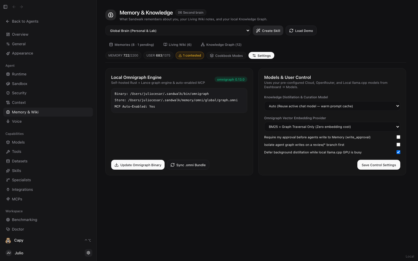 Local Omnigraph Engine installer and Models & User Control settings