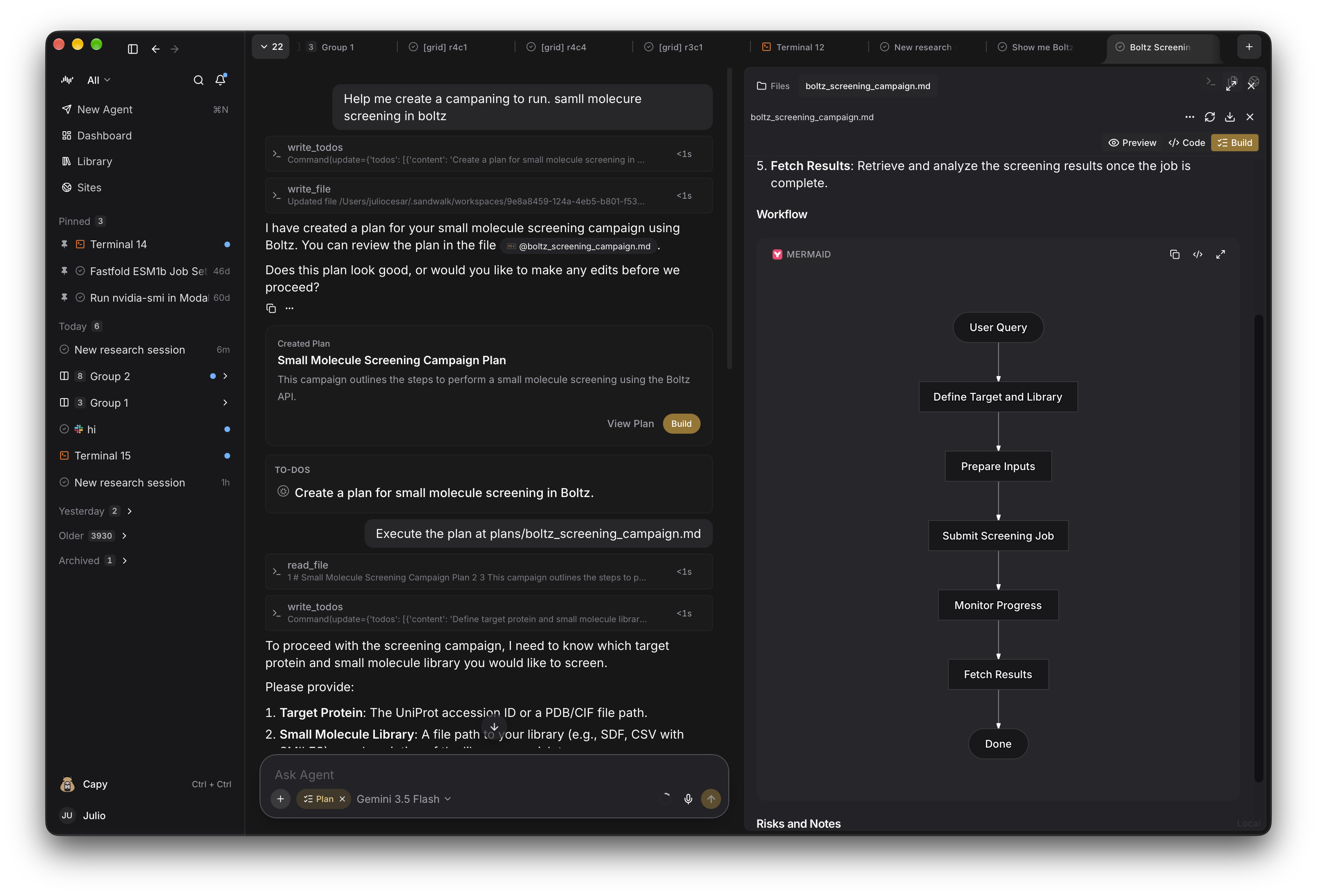 A plan with steps and a Mermaid flowchart beside the session