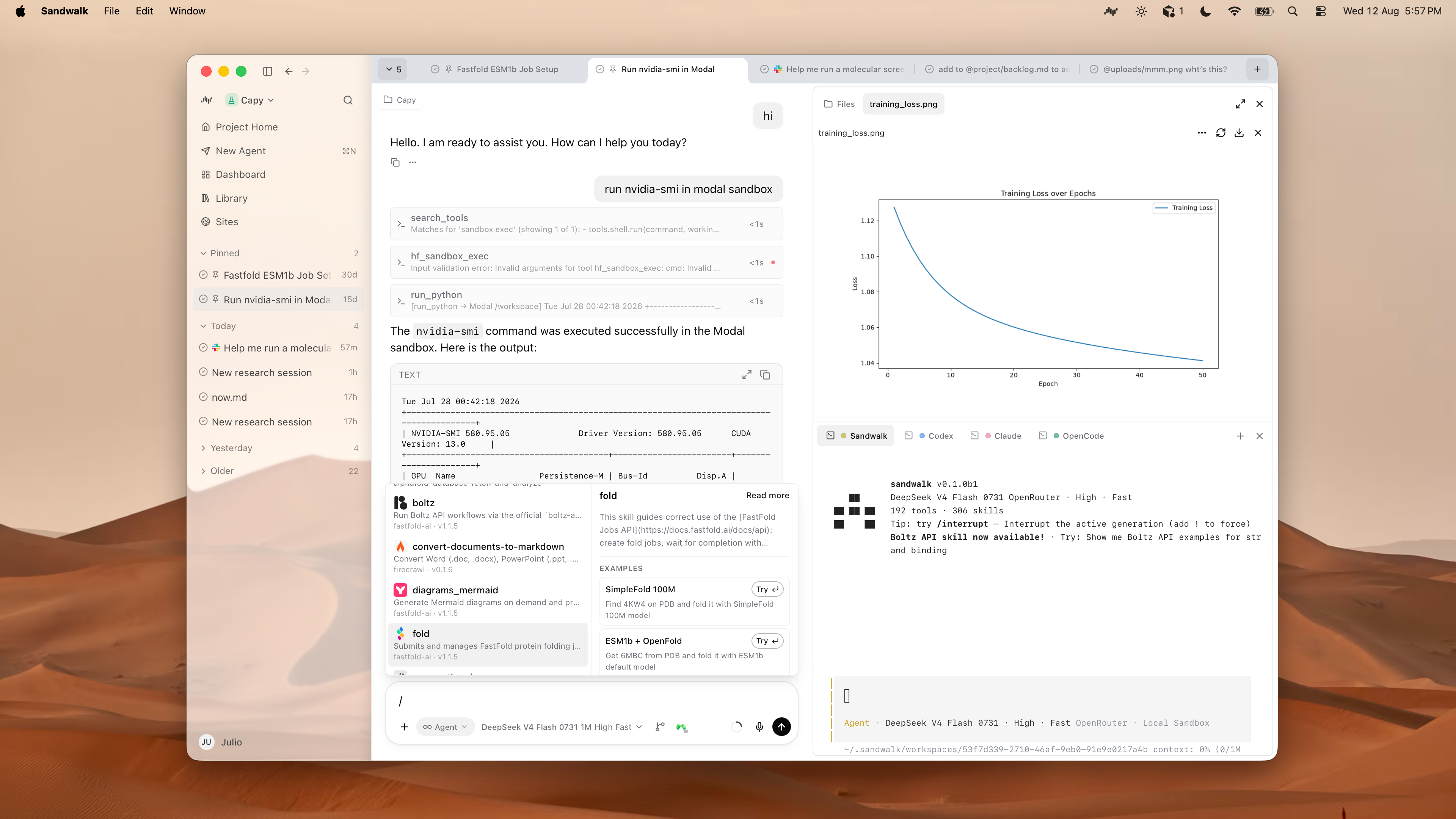 Sandwalk desktop: a chat, the files it produced, and a terminal, side by side